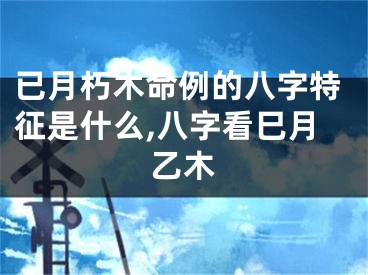 已月朽木命例的八字特征是什么,八字看巳月乙木