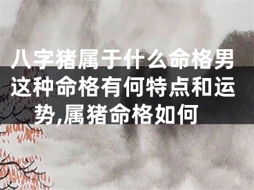 八字猪属于什么命格男这种命格有何特点和运势,属猪命格如何