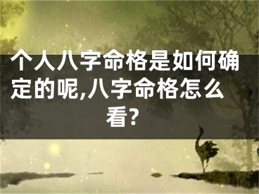个人八字命格是如何确定的呢,八字命格怎么看?