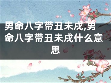 男命八字带丑未戌,男命八字带丑未戌什么意思