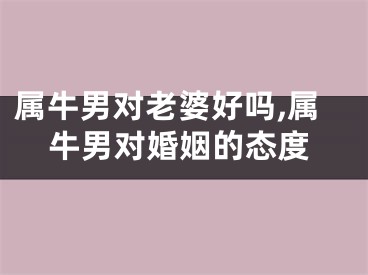 属牛男对老婆好吗,属牛男对婚姻的态度