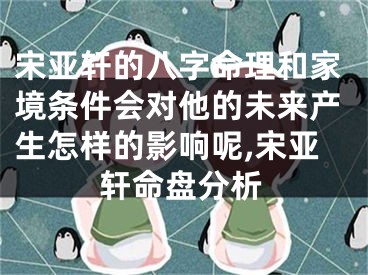 宋亚轩的八字命理和家境条件会对他的未来产生怎样的影响呢,宋亚轩命盘分析