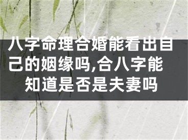 八字命理合婚能看出自己的姻缘吗,合八字能知道是否是夫妻吗