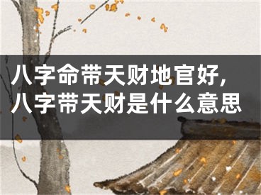 八字命带天财地官好,八字带天财是什么意思