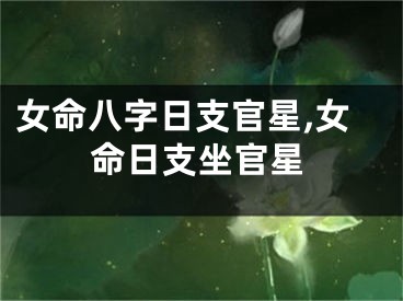 女命八字日支官星,女命日支坐官星