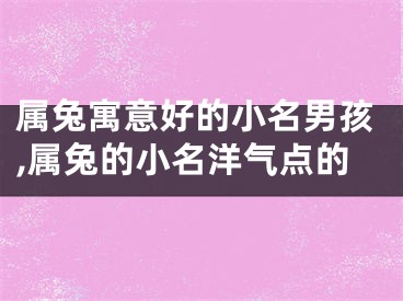 属兔寓意好的小名男孩,属兔的小名洋气点的