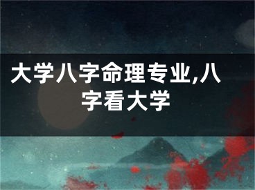 大学八字命理专业,八字看大学