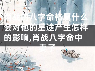 肖战的八字命格属什么会对他的星途产生怎样的影响,肖战八字命中妻子