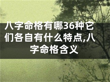 八字命格有哪36种它们各自有什么特点,八字命格含义