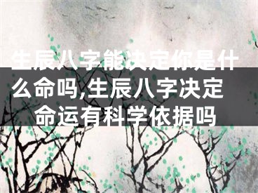 生辰八字能决定你是什么命吗,生辰八字决定命运有科学依据吗