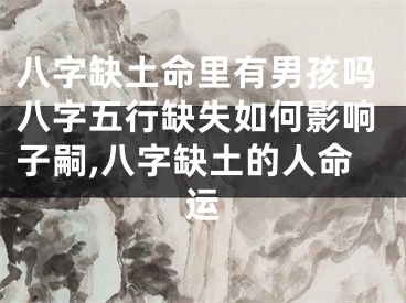 八字缺土命里有男孩吗八字五行缺失如何影响子嗣,八字缺土的人命运