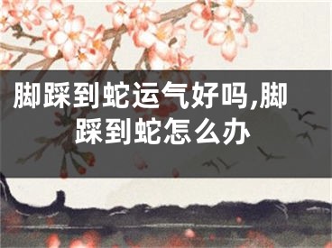 脚踩到蛇运气好吗,脚踩到蛇怎么办
