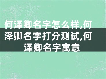何泽卿名字怎么样,何泽卿名字打分测试,何泽卿名字寓意