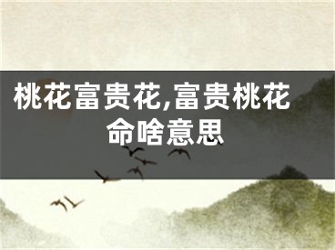 桃花富贵花,富贵桃花命啥意思