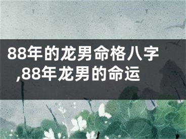 88年的龙男命格八字,88年龙男的命运