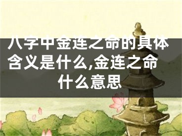 八字中金连之命的具体含义是什么,金连之命什么意思