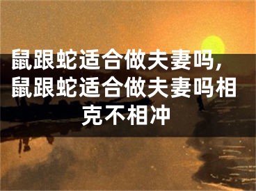 鼠跟蛇适合做夫妻吗,鼠跟蛇适合做夫妻吗相克不相冲