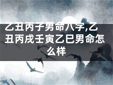 乙丑丙子男命八字,乙丑丙戌壬寅乙巳男命怎么样