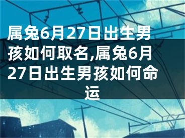 属兔6月27日出生男孩如何取名,属兔6月27日出生男孩如何命运