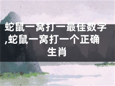 蛇鼠一窝打一最佳数字,蛇鼠一窝打一个正确生肖