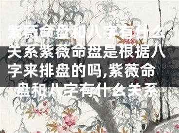紫薇命盘和八字有什么关系紫薇命盘是根据八字来排盘的吗,紫薇命盘和八字有什么关系