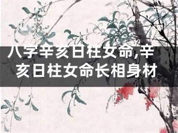 八字辛亥日柱女命,辛亥日柱女命长相身材