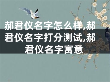 郝君仪名字怎么样,郝君仪名字打分测试,郝君仪名字寓意