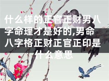 什么样的正官正财男八字命理才是好的,男命八字格正财正官正印是什么意思