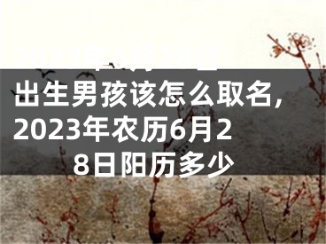 2023年6月28日出生男孩该怎么取名,2023年农历6月28日阳历多少