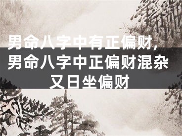男命八字中有正偏财,男命八字中正偏财混杂又日坐偏财