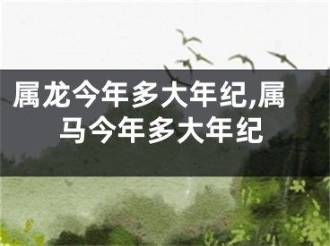 属龙今年多大年纪,属马今年多大年纪