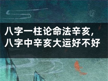 八字一柱论命法辛亥,八字中辛亥大运好不好