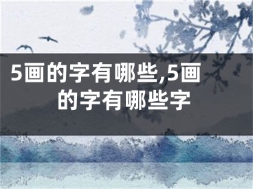 5画的字有哪些,5画的字有哪些字