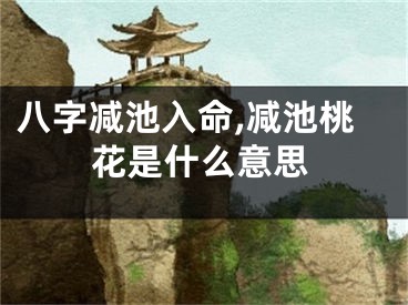 八字减池入命,减池桃花是什么意思