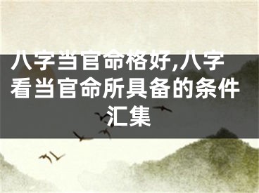 八字当官命格好,八字看当官命所具备的条件汇集