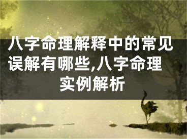 八字命理解释中的常见误解有哪些,八字命理实例解析