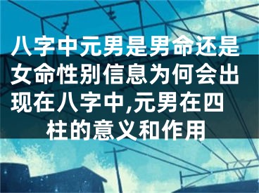 八字中元男是男命还是女命性别信息为何会出现在八字中,元男在四柱的意义和作用