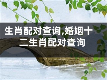 生肖配对查询,婚姻十二生肖配对查询
