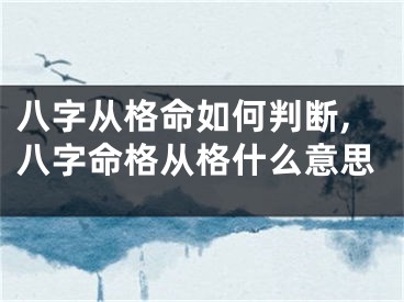 八字从格命如何判断,八字命格从格什么意思