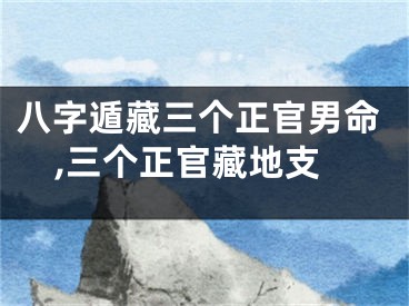 八字遁藏三个正官男命,三个正官藏地支