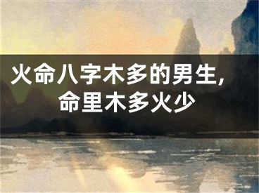 火命八字木多的男生,命里木多火少