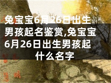 兔宝宝6月26日出生男孩起名鉴赏,兔宝宝6月26日出生男孩起什么名字