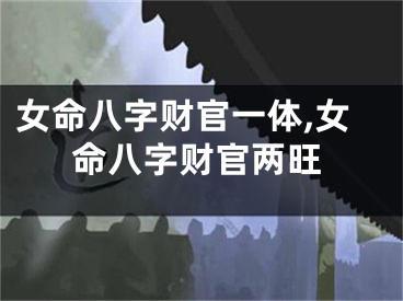 女命八字财官一体,女命八字财官两旺