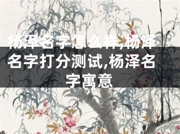 杨泽名字怎么样,杨泽名字打分测试,杨泽名字寓意