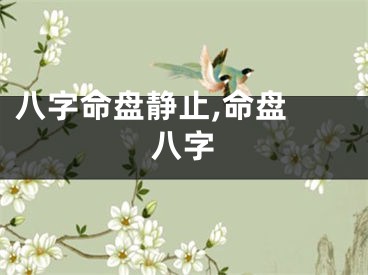 八字命盘静止,命盘 八字