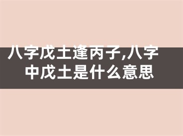 八字戊土逢丙子,八字中戊土是什么意思