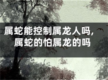 属蛇能控制属龙人吗,属蛇的怕属龙的吗