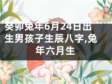 癸卯兔年6月24日出生男孩子生辰八字,兔年六月生