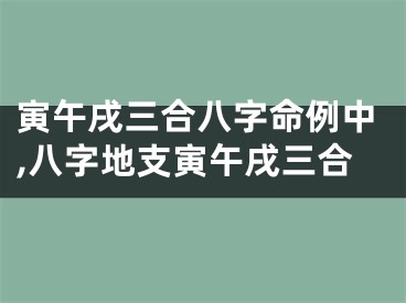 寅午戌三合八字命例中,八字地支寅午戌三合