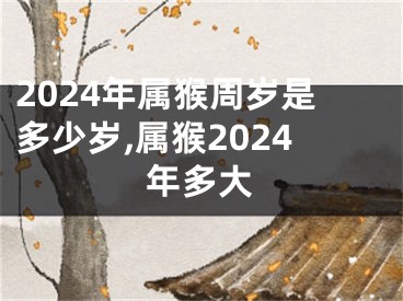 2024年属猴周岁是多少岁,属猴2024年多大